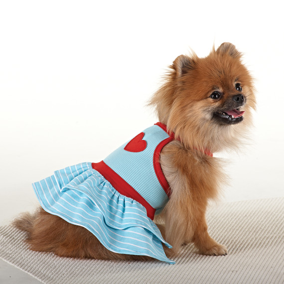 mspets-nauticalgallery-bluedress-mrkt-0514.jpg