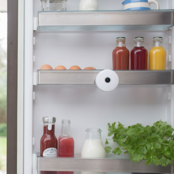 smarter-fridge-camera-kitchen-tech-jan2017.png (skyword:384065)