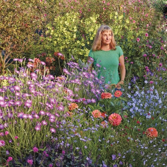 annies-annuals-garden-1507-105-d112384-0216.jpg