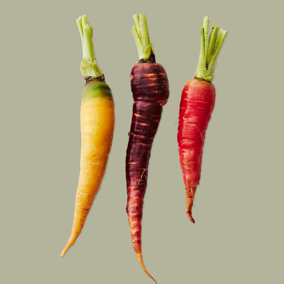 various carrots healthy appetite various carrots healthy appetite