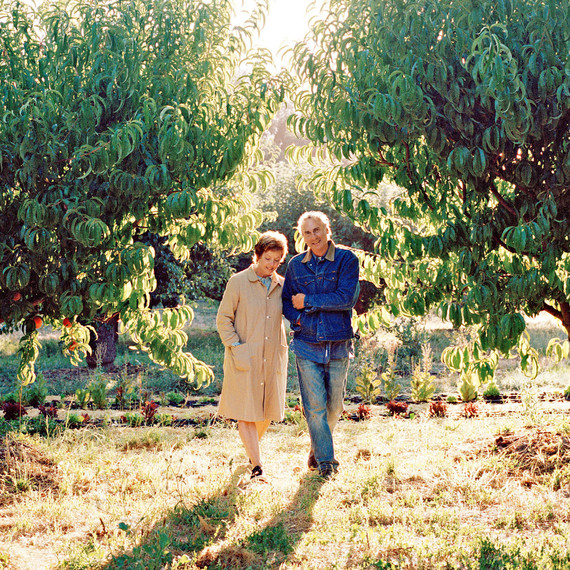 daniel and lipton walking through fruit orchard daniel and lipton walking through fruit orchard
