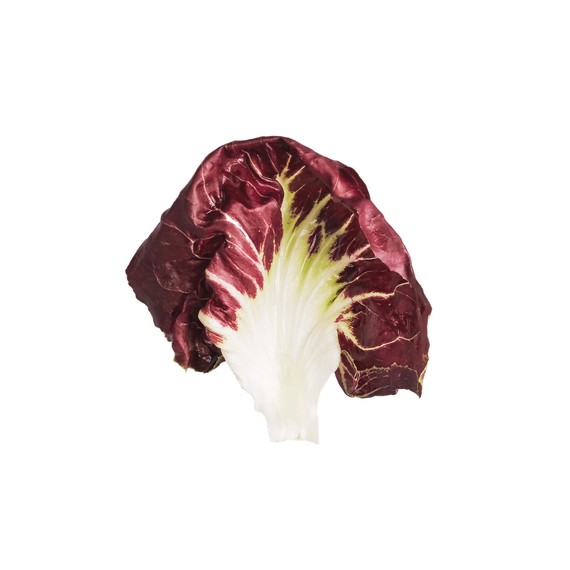 glossary-greens-0121-d112652-0216-radicchio.jpg