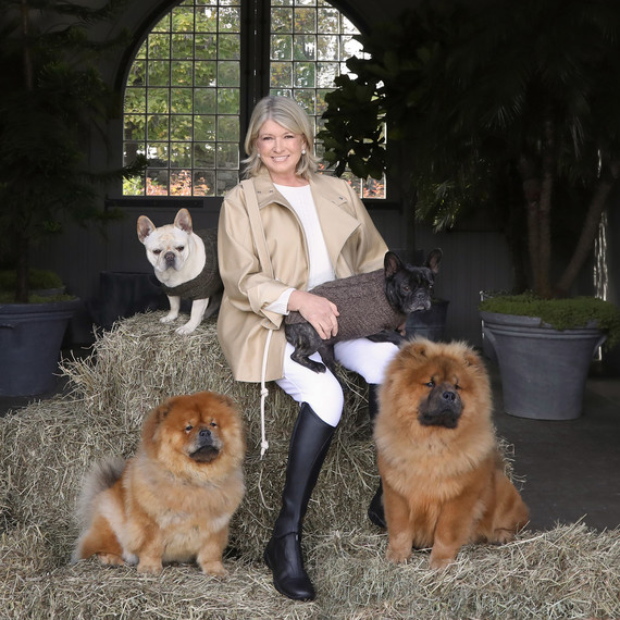 You Can Now Decorate Your Home to Look Just Like Martha's