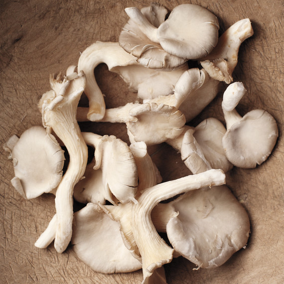 oyster-mushrooms-back-to-the-roots-md110539.jpg