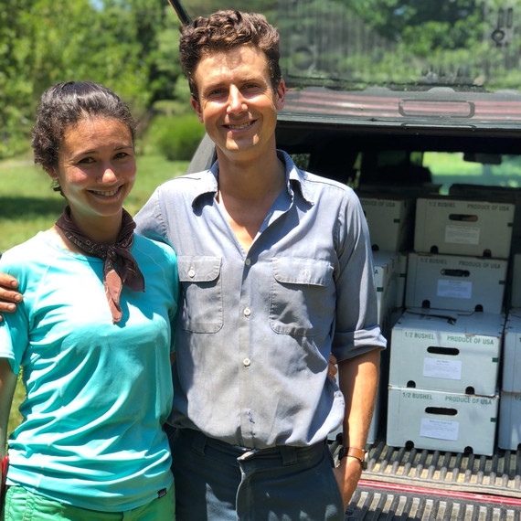 vera gordon csa boxes ten mothers farm vegetables vera gordon csa boxes ten mothers farm vegetables