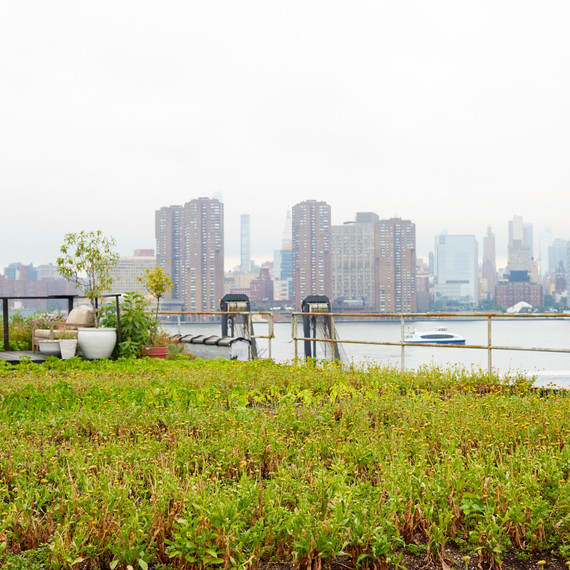 urban garden annie novak urban garden annie novak