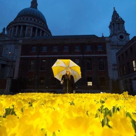 garden-of-light-daffodils-art-installation-2.jpg