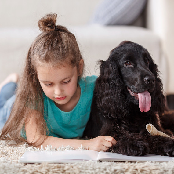 girl lying on floor reading book with dog girl lying on floor reading book with dog