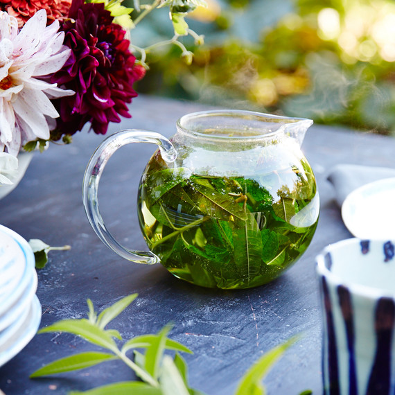 lemon-verbena-tea-frances-palmer-516-d110591.jpg