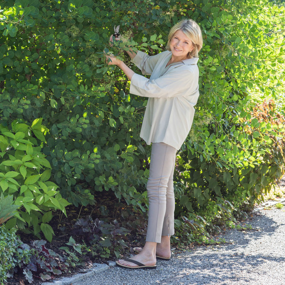 martha gardening martha gardening