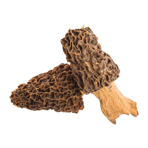 mushrooms-s111153-istock-000008158102-medium.jpg