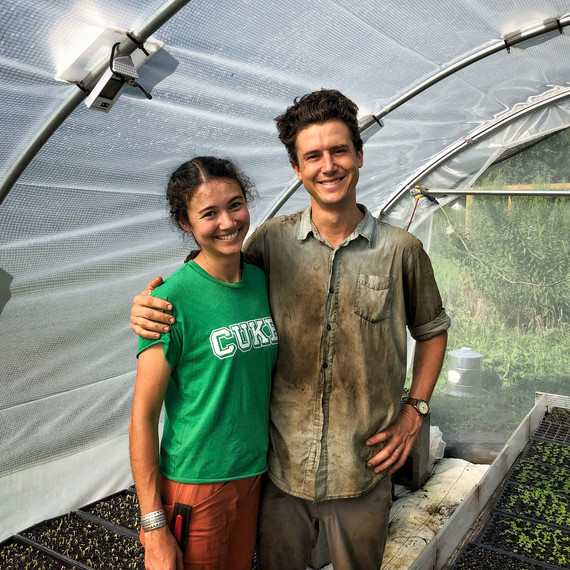 farmers in greenhouse with young plants farmers in greenhouse with young plants