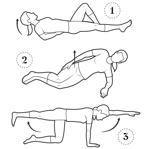 curl up side bridge bird dog exercise back health illustrations curl up side bridge bird dog exercise back health illustrations