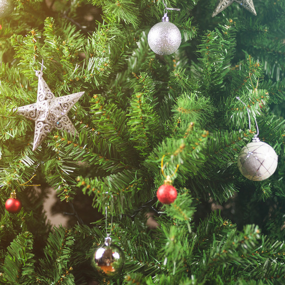 What to Do if You Have Bugs In Your Christmas Tree Martha Stewart