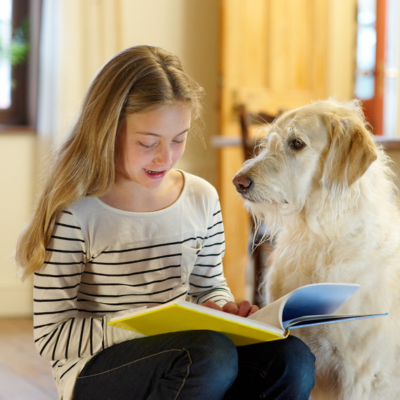 girl in kitchen reading book to large dog girl in kitchen reading book to large dog
