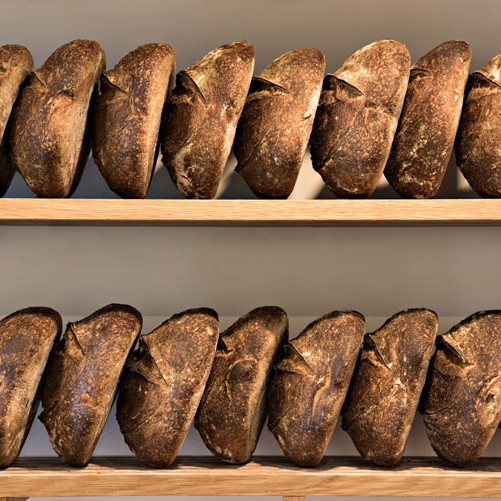 bread bread