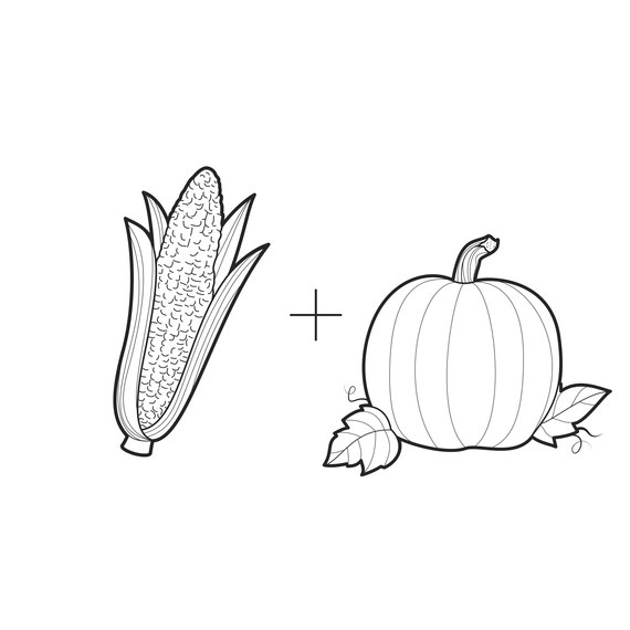 ask-martha-corn-and-pumpkins-illustration-0314.jpg