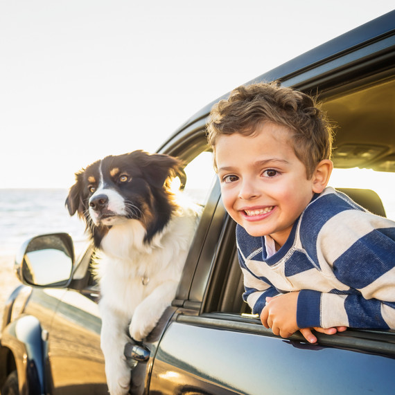 kid and dog leaning out of car on the beach kid and dog leaning out of car on the beach