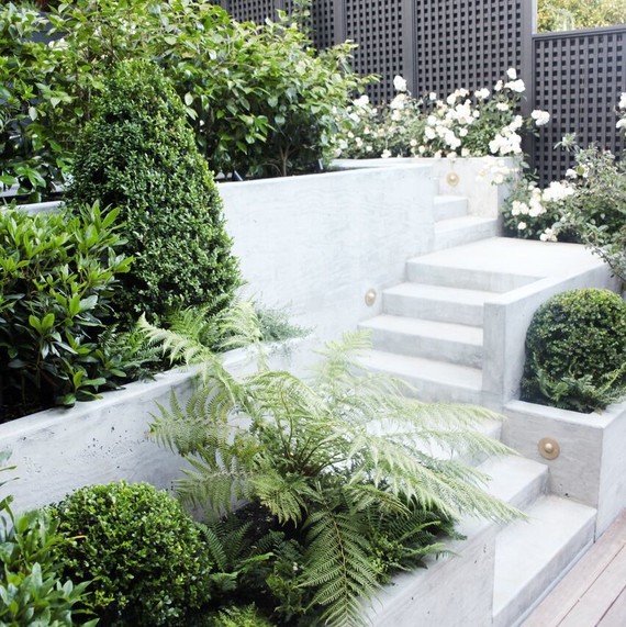 concrete stairs landscape plants concrete stairs landscape plants