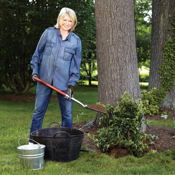 martha-planting-climbing-hydrangea-055-d112299.jpg
