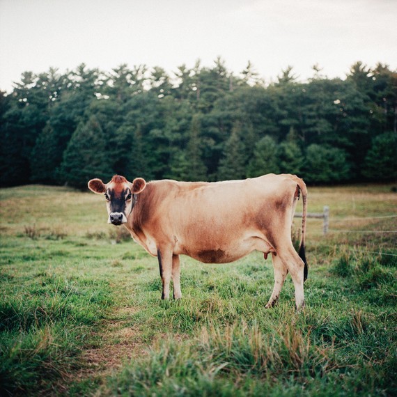 smith-family-farm-maine-2015.33.12.09n-d112563.jpg