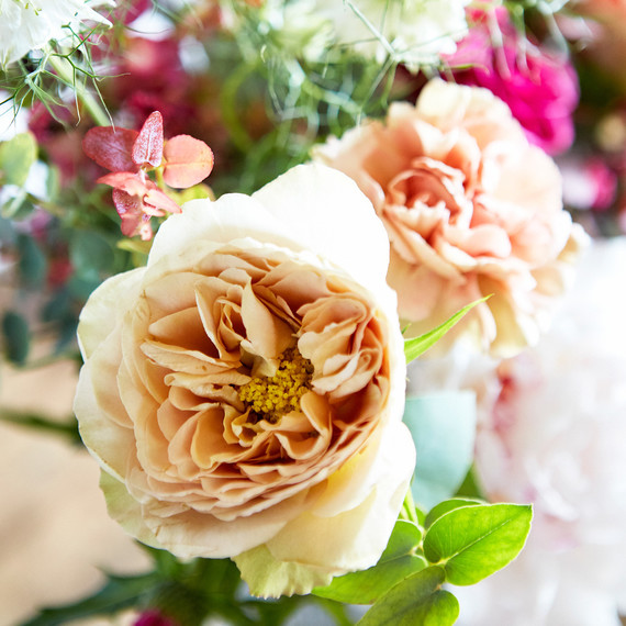 nude colored flowers for mothers day arrangement nude colored flowers for mothers day arrangement