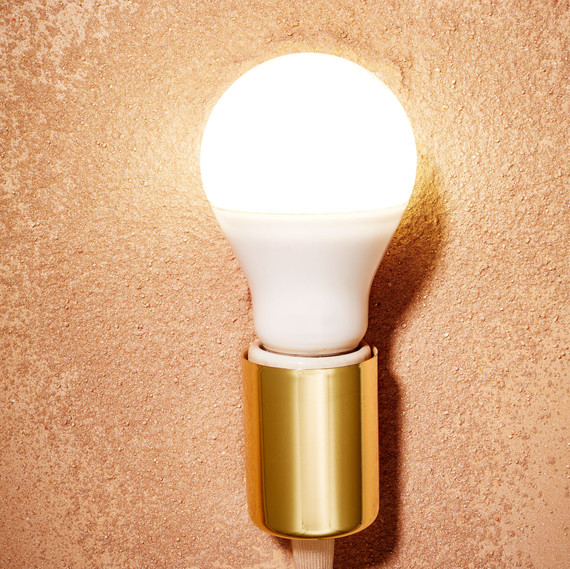 lightbulb lightbulb