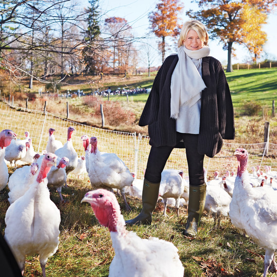 stone-barns-turkey-martha-portrait-0340-d111746.jpg