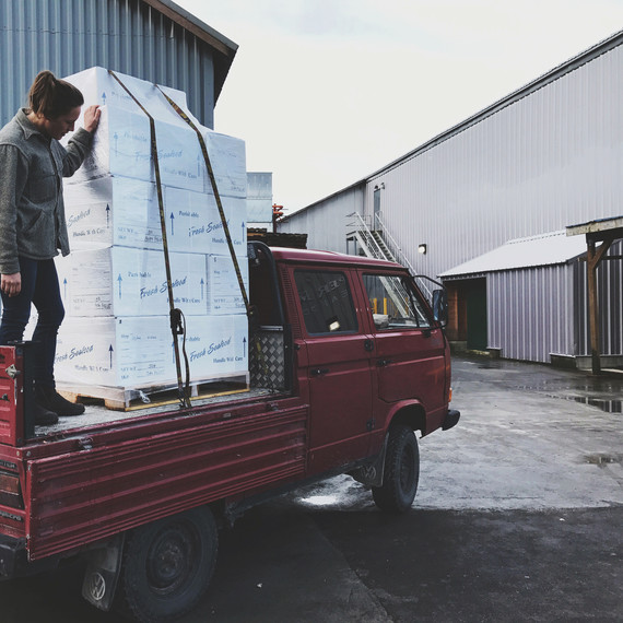 truckload frozen wild salmon truckload frozen wild salmon