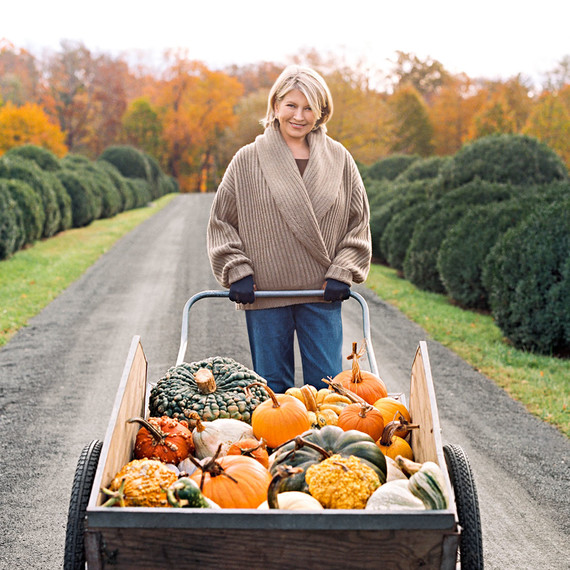 martha pumpkins october 2017 cover martha pumpkins october 2017 cover