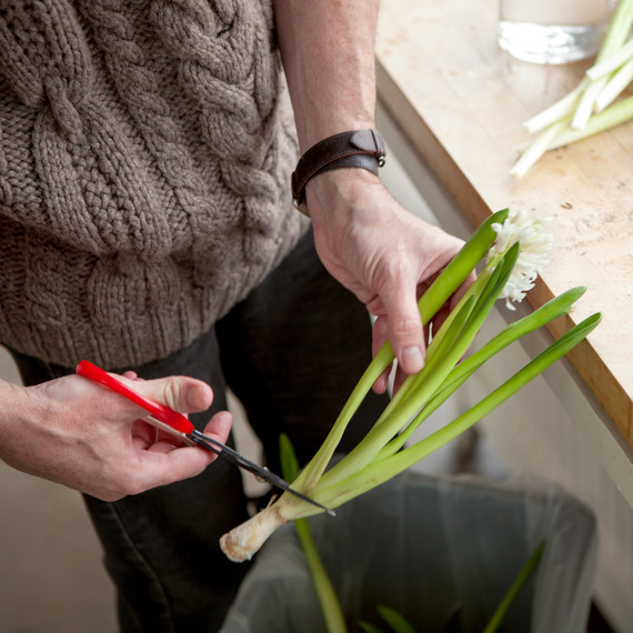 behind-the-scenes-flower-arrangement-7592-d111053.jpg