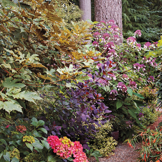 heckler-hydrangea-garden-522462aj-dsc8136-s111010.jpg