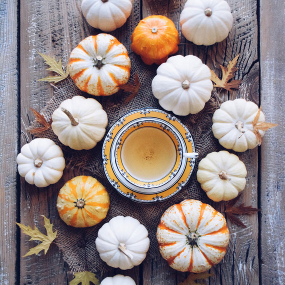 herbal tea surrounded by pumpkins fall herbal tea surrounded by pumpkins fall