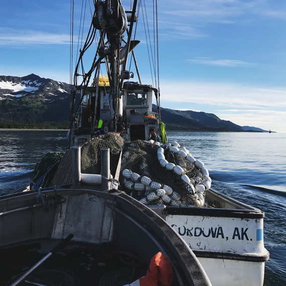 orion salmon fishing boat drifters fish orion salmon fishing boat drifters fish