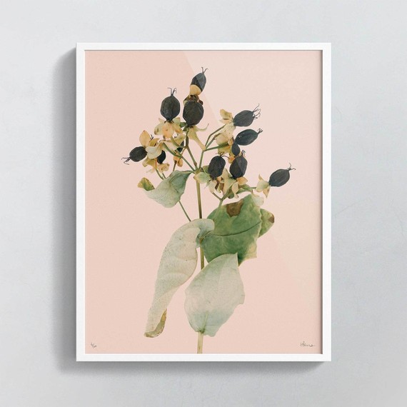 print.jpg (skyword:226216)