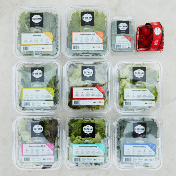 gotham-greens-overhead-product-packing-886-d112691.jpg