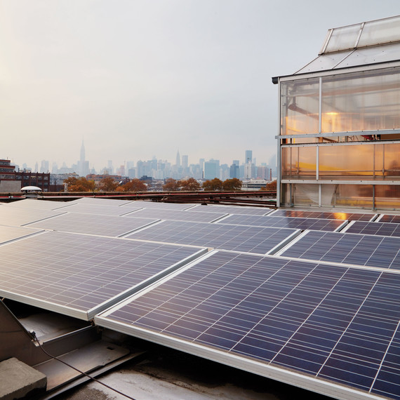 gotham-greens-rooftop-greenpoint-776r-d112691-0416.jpg