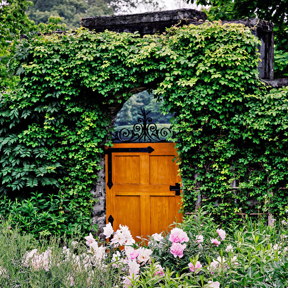 bellefield beatrix garden entry door bellefield beatrix garden entry door