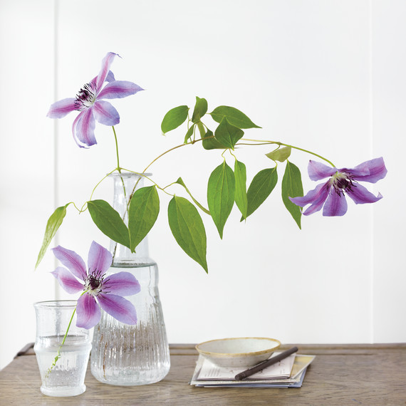 flowers-vase-md110119-msl-d110119-nnn-2013-0327-236.jpg