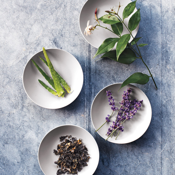 clarks-botanicals-raw-ingredients-altversion-d111733.jpg