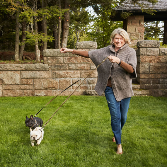 martha training with her french bulldogs outside martha training with her french bulldogs outside