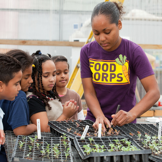 foodcorps-ma-boston-stephanie-many-kids-seedlings-0714.jpg