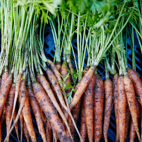 thanksgiving-anne-quatrano-carrots-19-can-7004-d110790.jpg