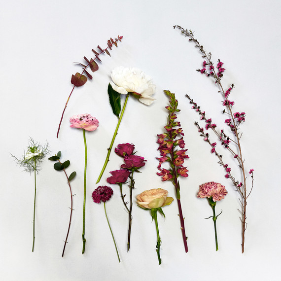 Carnations Spray Roses Ranunculus Nigella Foxglove Eucalyptus Peony Carnations Spray Roses Ranunculus Nigella Foxglove Eucalyptus Peony