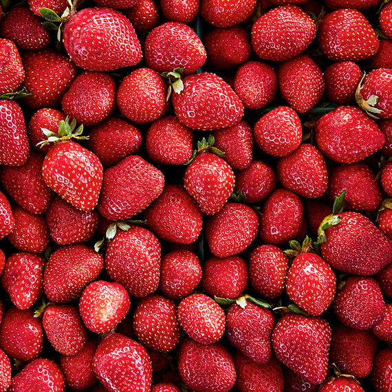 harrys berries strawberries harrys berries strawberries