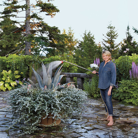 container-gardens-skylands-maine-martha-24-01-d111522-0216.jpg
