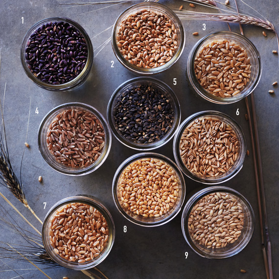 numbered-hayden-flour-mills-grain-glossary-047-d112232-1015.jpg