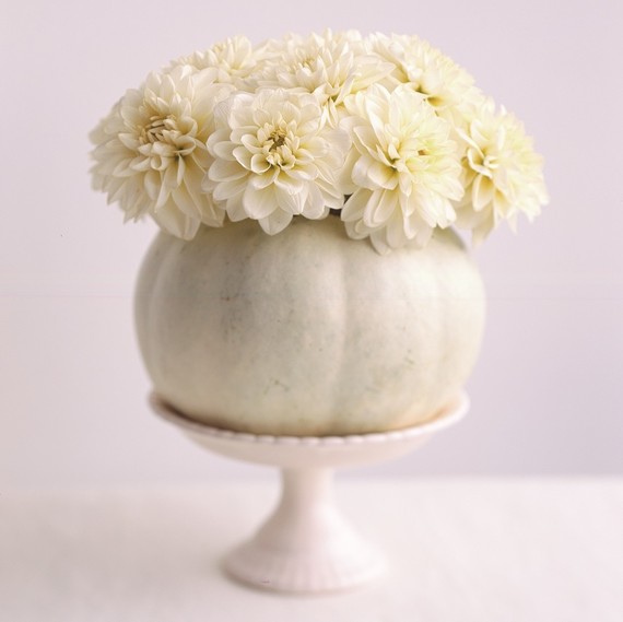 white pumpkin vase white pumpkin vase