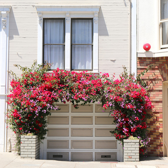 garage_flowers--2-.jpg (skyword:250372)