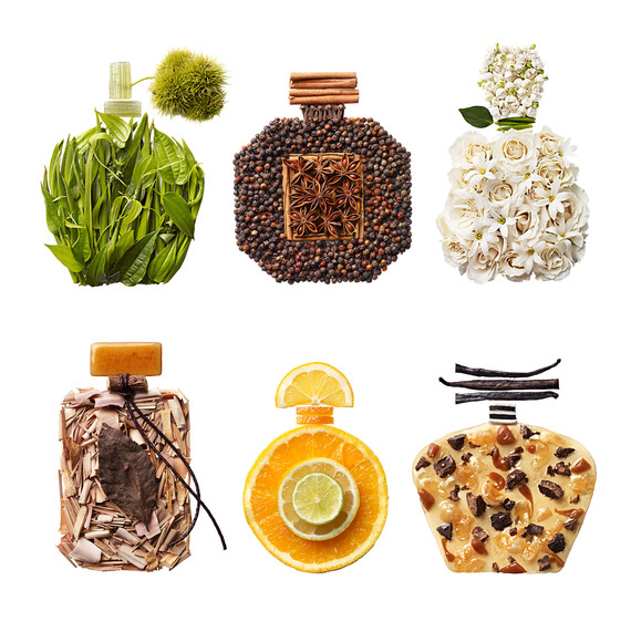lightning in a bottle scent perfume styles lightning in a bottle scent perfume styles